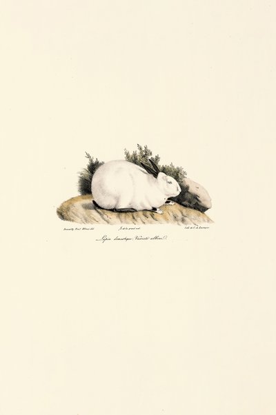  av Jacques Christophe Werner