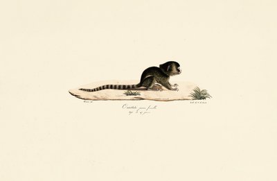  av Jacques Christophe Werner