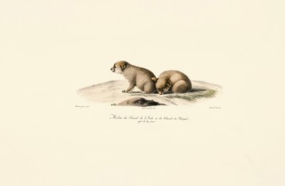  av Jacques Christophe Werner