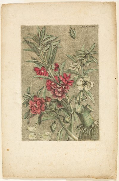  av Jacques Fabien Gautier d