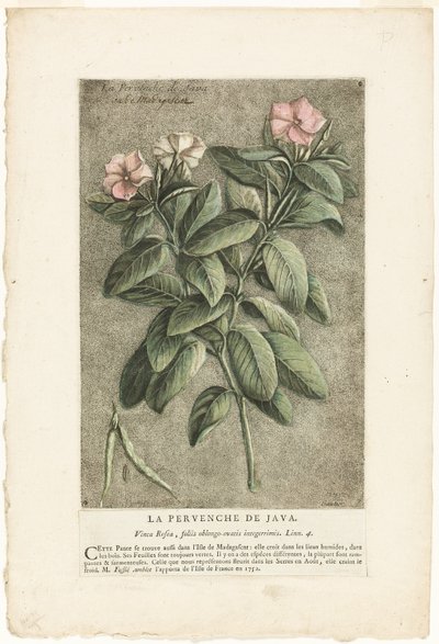  av Jacques Fabien Gautier d