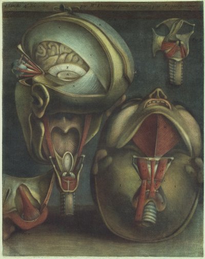 To utsikter over hodet, 1746. av Jacques Fabien Gautier dAgoty