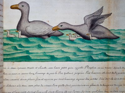 Ender kalt Ploplos, Magellanstredet, akvarell fra loggbok av Jacques Gouin de Beauchesne (1652-1730), kaptein for Compagnie royale de la Mer du Sud, fra 1698 til 1701, Frankrike av Jacques Gouin de Beauchesne