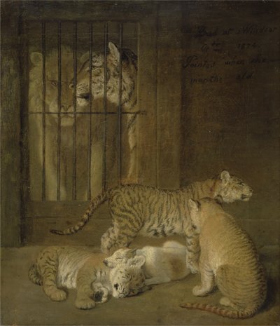 Gruppe av hvalpe avlet mellom en løve og en tiger av Jacques Laurent Agasse