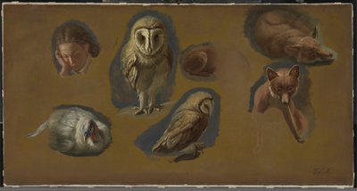 Studier av en rev, en barnugle, en påne og et ungmannshode av Jacques Laurent Agasse