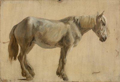 Studie av en grå hest (olje på papir) av Jacques Laurent Agasse