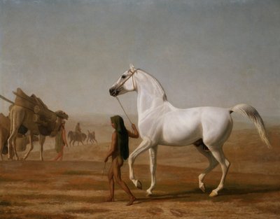 Wellesley Grey Arabian ledet gjennom ørkenen av Jacques Laurent Agasse