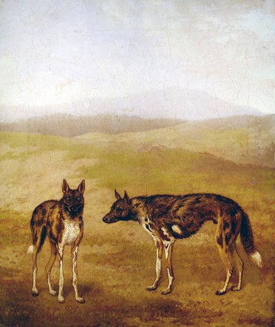 To afrikanske jakthunder (olje på lerret) av Jacques Laurent Agasse