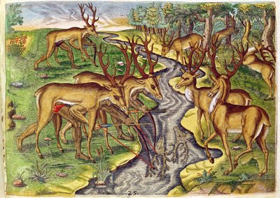 Stag Hunt, fra 