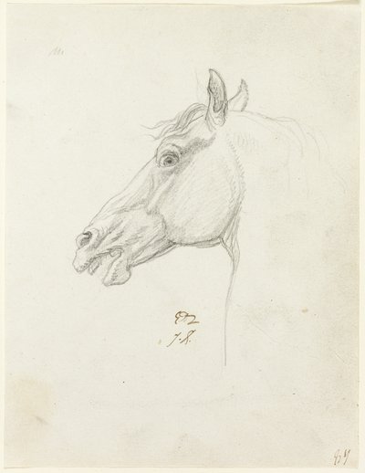 Hestehode av Jacques Louis David