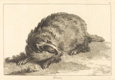 Blereau (Grevling) av Jacques Philippe Le Bas and Jean Eric Rehn after Jean Baptiste Oudry