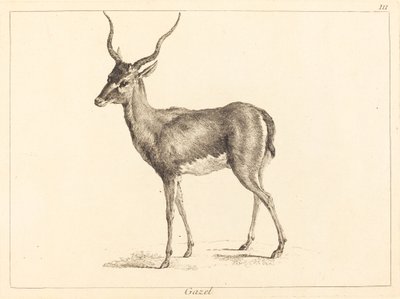 Gaselle (Gazelle) av Jacques Philippe Le Bas and Jean Eric Rehn after Jean Baptiste Oudry