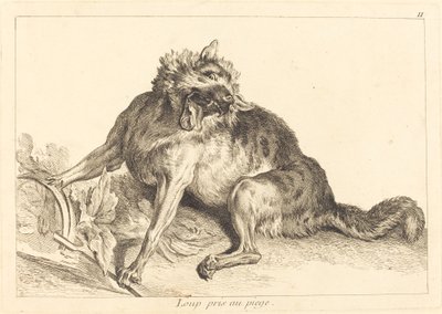 Ulv fanget i en felle av Jacques Philippe Le Bas and Jean Eric Rehn after Jean Baptiste Oudry