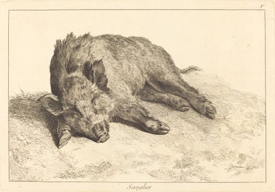 Sanglier (villsvin som ligger ned, gå til venstre) av Jacques Philippe Le Bas and Jean Eric Rehn after Jean Baptiste Oudry