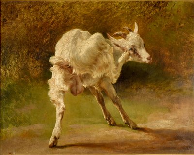  av Jacques Raymond Brascassat