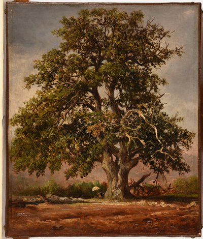  av Jacques Raymond Brascassat