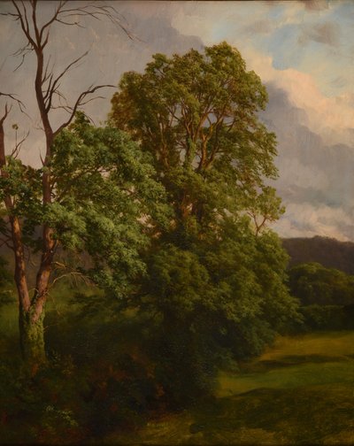  av Jacques Raymond Brascassat