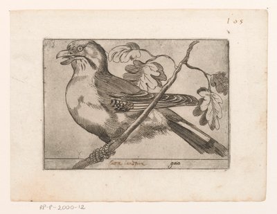 Gaai Gaio (tittel på objekt) Vogels (serietittel) av Jacques de Fornazeris (possibly)