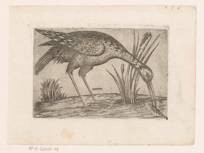 Vogel Tartena (tittel på objekt) Vogels (serietittel) av Jacques de Fornazeris (possibly)