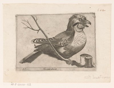 Jay (Garrulus glandarius) Giandara (tittel på objekt) Fugler (serietittel) av Jacques de Fornazeris