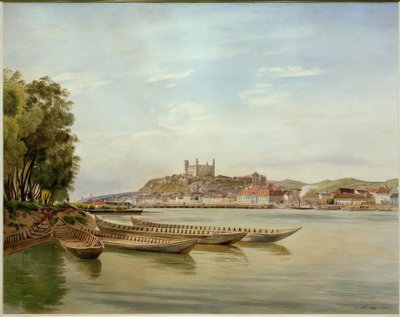 Utsikt over Pressburg av Jakob Alt