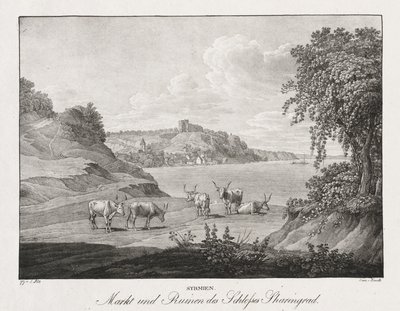 Syrmia, marked og ruinene av Sharengrad slott av Jakob Alt