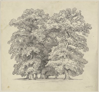  av Jakob Becker