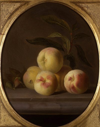 Stilleben av frukt med flue (olje på lerret) av Jakob Bogdani or Bogdany
