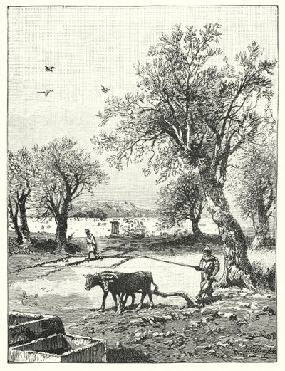 Pløying i en vingård (litho) av James (after) Clark