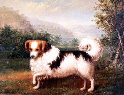 En Phallene Papillon i et høylandslandskap av James (attr. to) Barenger