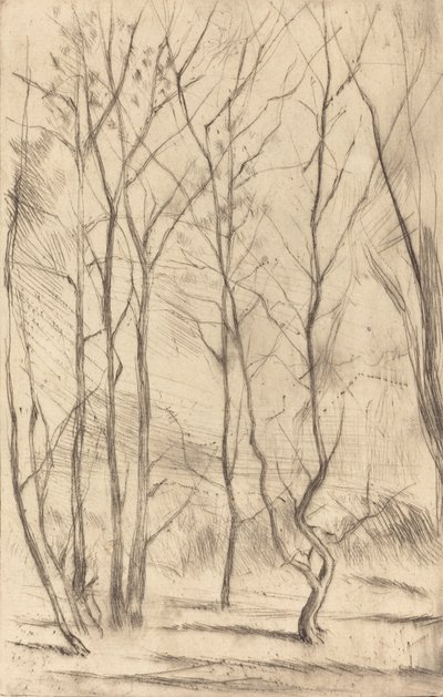 The Dam Wood, 1875. av James Abbott McNeill Whistler