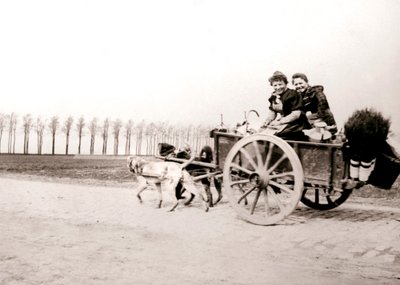 Hunder som trekker kvinner på en vogn, Antwerpen, 1898. av James Batkin