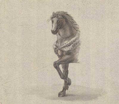 Studie av forsiden av en hest av James Bruce