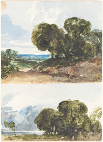 To skisser av trær. av James Bulwer