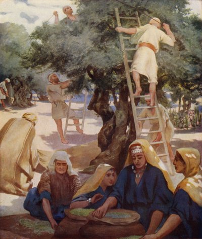 Olivengård av James Clark