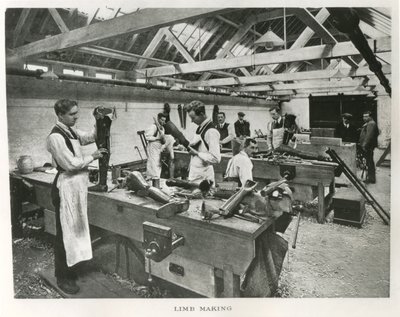 Princess Louise Scottish Hospital for Limbless Sailors & Soldiers på Erskine House av James Craig Annan