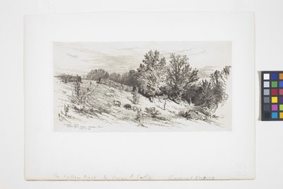 Et brakkfelt (blekk) av James David Smillie