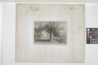 Landskap (etsing, chine collé) av James David Smillie