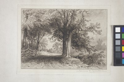 Landskap (etsing, chine collé) av James David Smillie