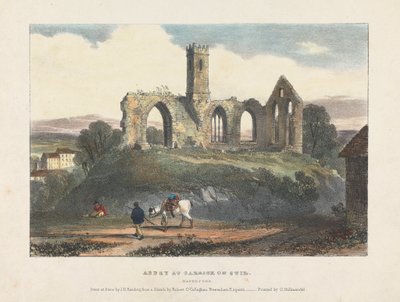 Abbey ved Carrick on Suir av James Duffield Harding