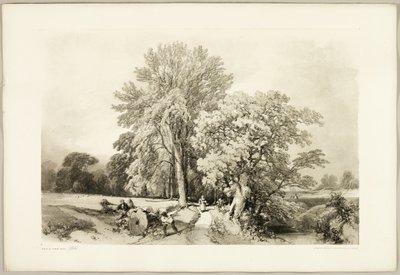 Abele og eik, fra Parken og skogen av James Duffield Harding