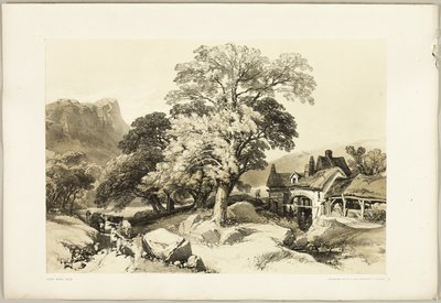 Ask og eik, fra Parken og skogen av James Duffield Harding