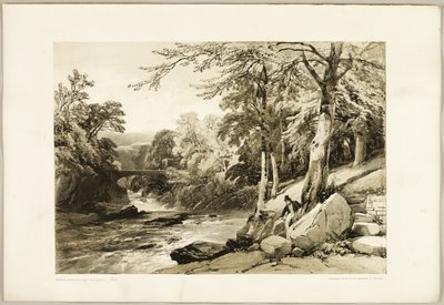 Bøk og aske på Greta, fra Parken og skogen av James Duffield Harding