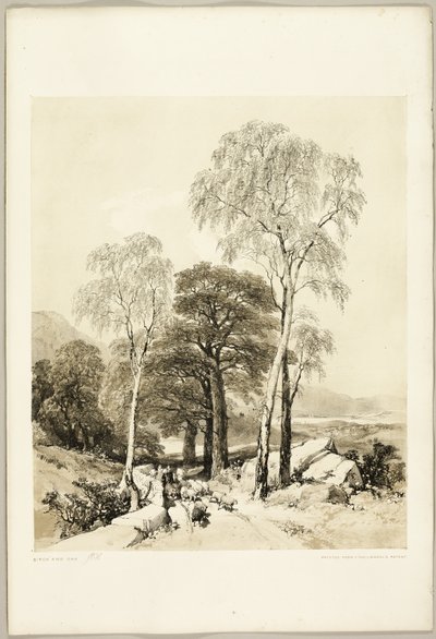 Bjørk og eik, fra Parken og Skogen av James Duffield Harding
