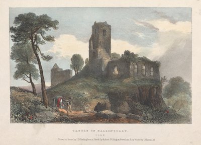 Castle of Ballincolly av James Duffield Harding