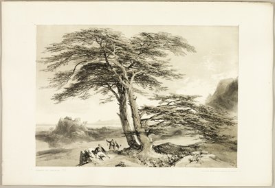  av James Duffield Harding