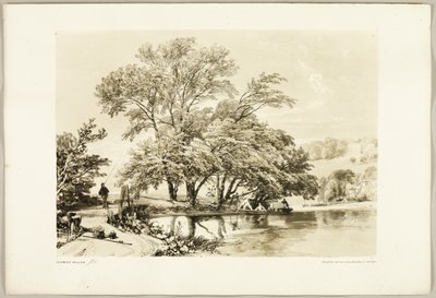 Vannpil, fra Parken og Skogen av James Duffield Harding
