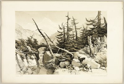 Lerk, fra Parken og Skogen av James Duffield Harding