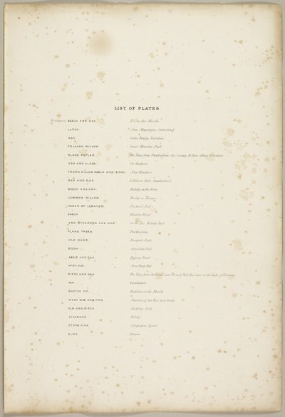 Liste over tallerkener, fra The Park and the Forest av James Duffield Harding