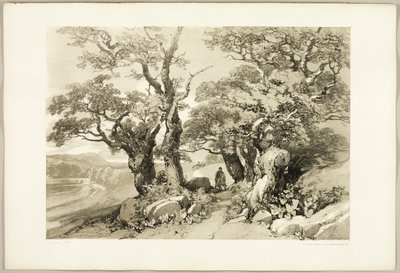 Old Oaks, fra The Park and the Forest av James Duffield Harding